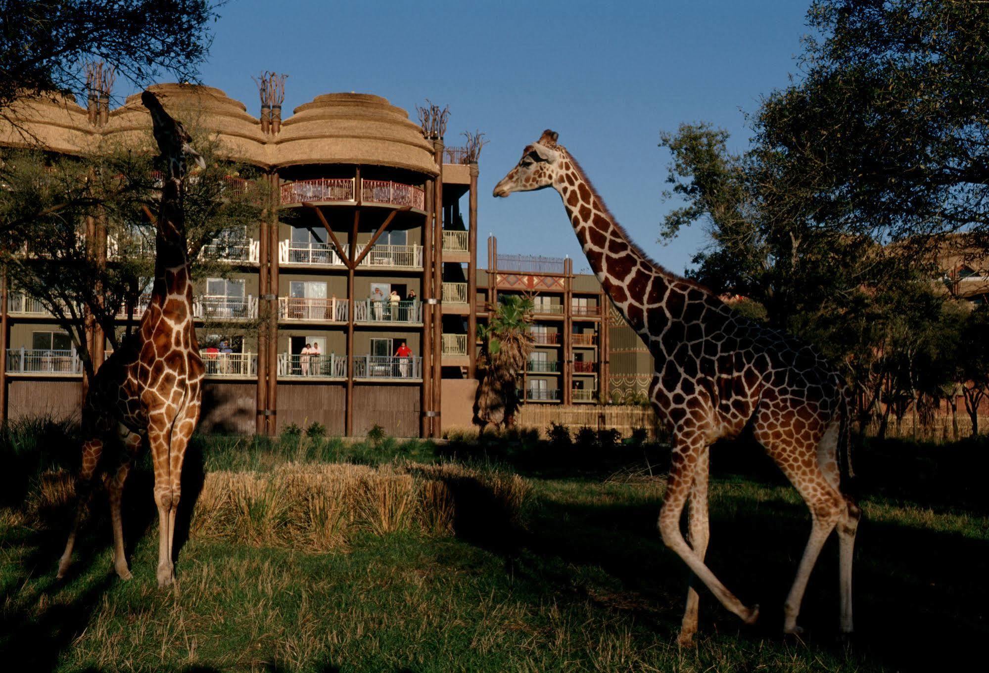 Disney'S Animal Kingdom Villas - Kidani Village Lake Buena Vista Bagian luar foto